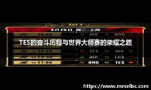 TES的奋斗历程与世界大师赛的荣耀之路